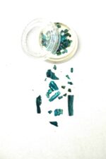 abalone 1