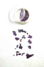 abalone 11