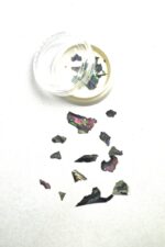 abalone 12