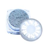 urban nails biodegradable zilver glitter dust bgd01