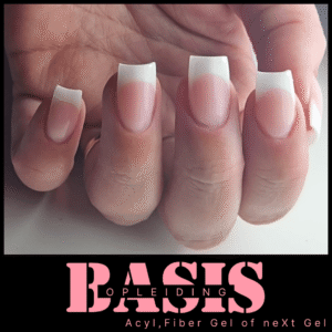 Basis Opleiding (Acryl of Gel)
