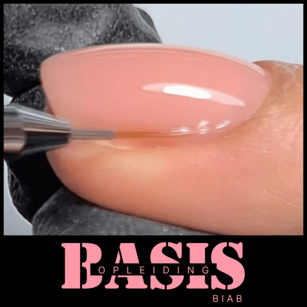 Basis Opleiding-2 Basis opleiding BIAB