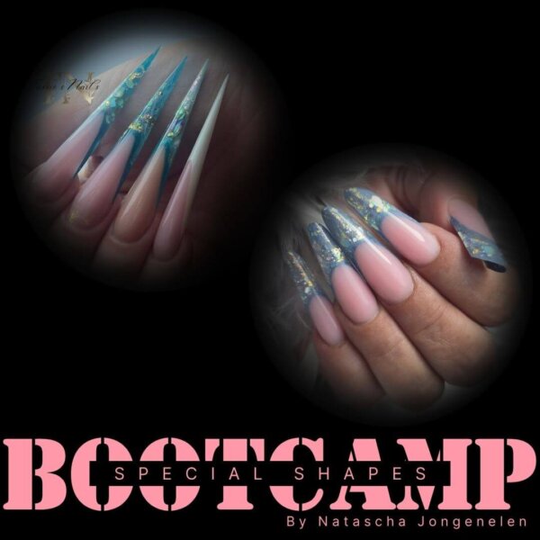 Bootcamp Natas Bootcamp Natascha