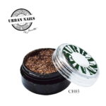 urban nails chrome ch03