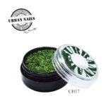 urban nails chrome pigment ch17