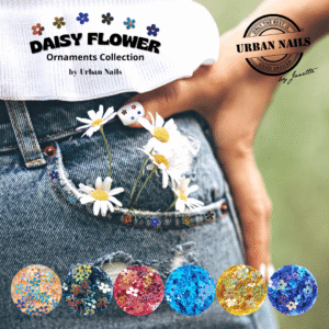 Daisy flower ornaments collection