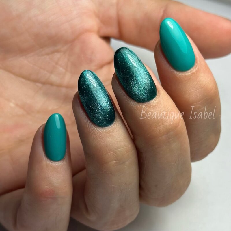 Distri elsa