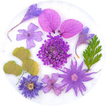 dried flowers urban nails 05