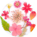 dried flowers urban nails 08