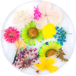 dried flowers urban nails 11