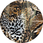 Foil Jungle 4