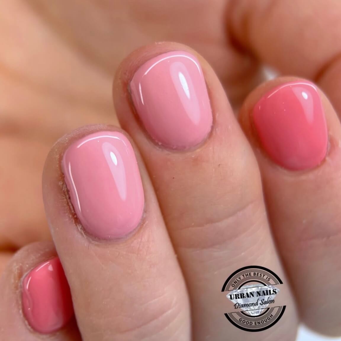 Foto 03-03-2026 om 19.34