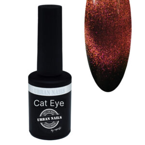 Cat Eye Gel Polish 8g CA03-A