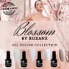 Blossom Collection by Roxane