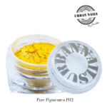 Pure Pigment P02 urban nails