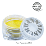 Pure Pigment P03 urban nails