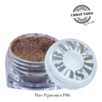 Pure Pigment P06 urban nails