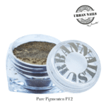 Pure Pigment P12 urban nails