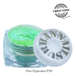 Pure Pigment P20 urban nails