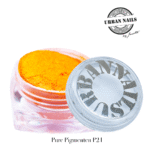 Pure Pigment P21 urban nails