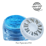Pure Pigment P22 urban nails