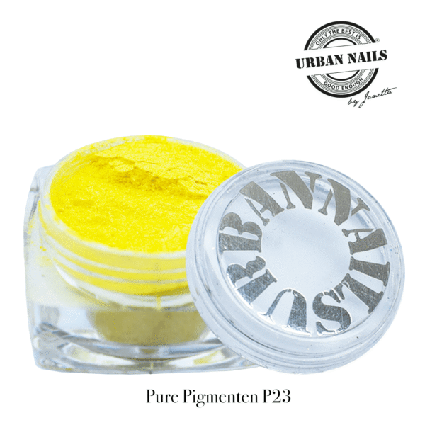 Pure Pigment P23 urban nails