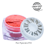 Pure Pigment P24 urban nails