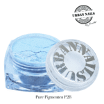 Pure Pigment P28 urban nails