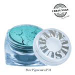 Pure Pigment P31 urban nails