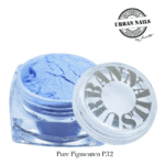 Pure Pigment P32 urban nails