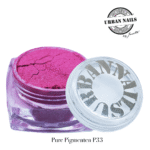 Pure Pigment P33 urban nails