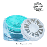 Pure Pigment P35 urban nails