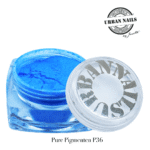 Pure Pigment P36 urban nails