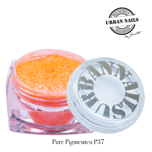Pure Pigmenten P37 urban nails