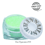 Pure Pigment P39 urban nails