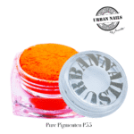 Pure Pigment P55 urban nails