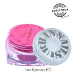 Pure Pigment P57 urban nails