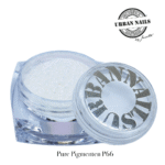 Pure Pigments P66 urban nails