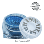 Pure Pigment P69 urban nails