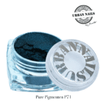 Pure Pigment P71 urban nails