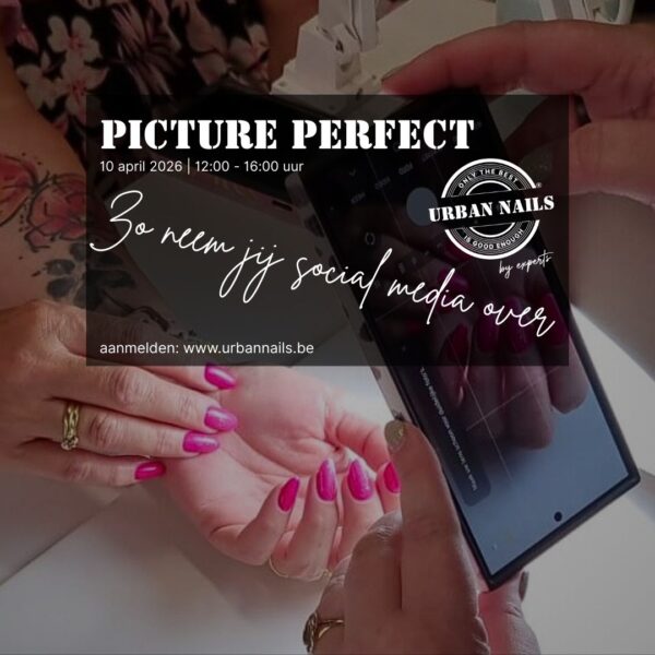 Picture Perfect by Iris den Engelsman website Picture Perfect by Iris den Engelsman