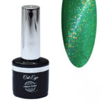 Urban Nails Rainbow Cat Eye RCA01