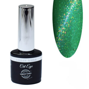 Urban Nails Rainbow Cat Eye RCA01