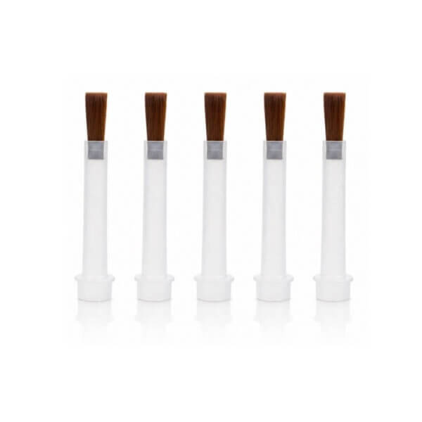 Special Brush Brown Square