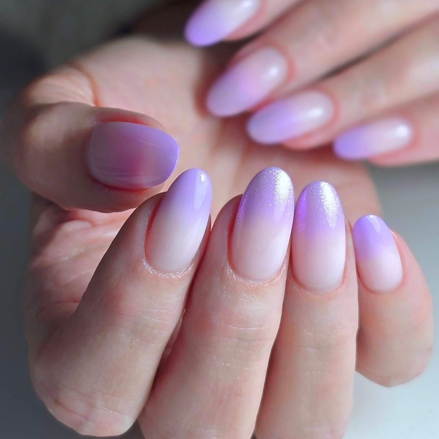 WhatsApp Image 2026-02-11 at 12.59.58