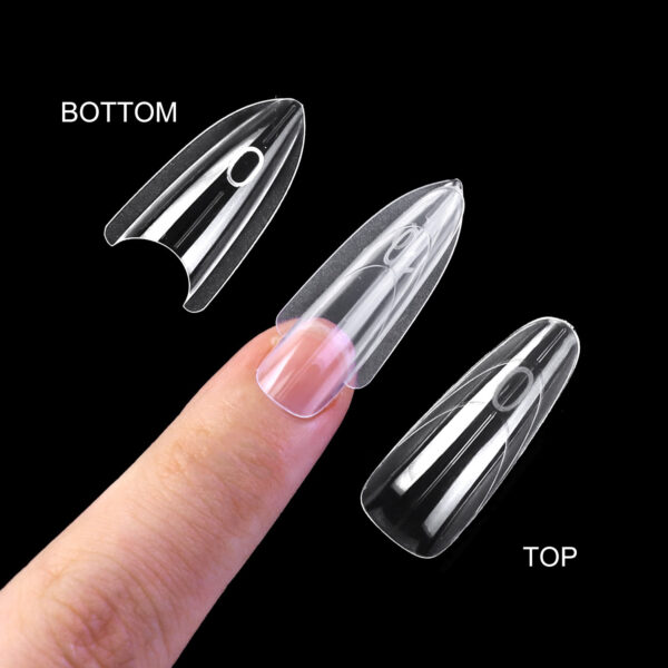 Sandwich Dual Forms Almond