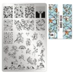 Moyra stamping plate 100 - Bird Box