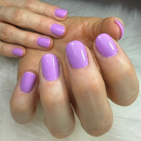 Purple Mania