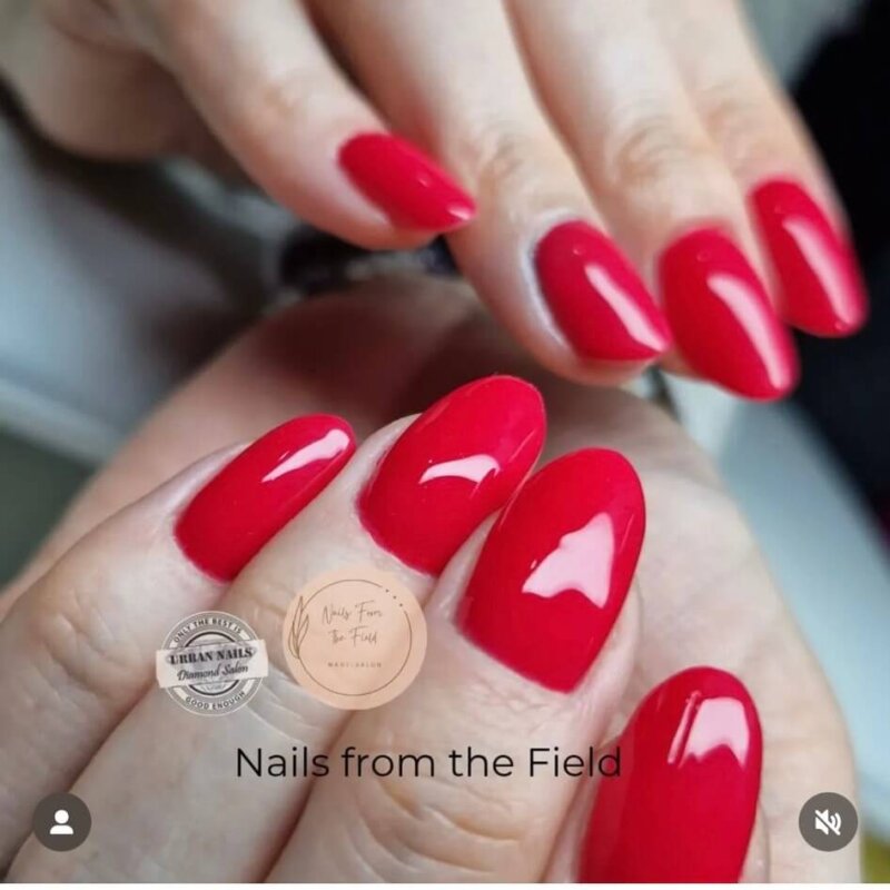 @nailsfromthefield