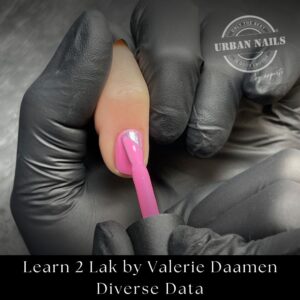 Learn 2 Lak by Valerie Daamen